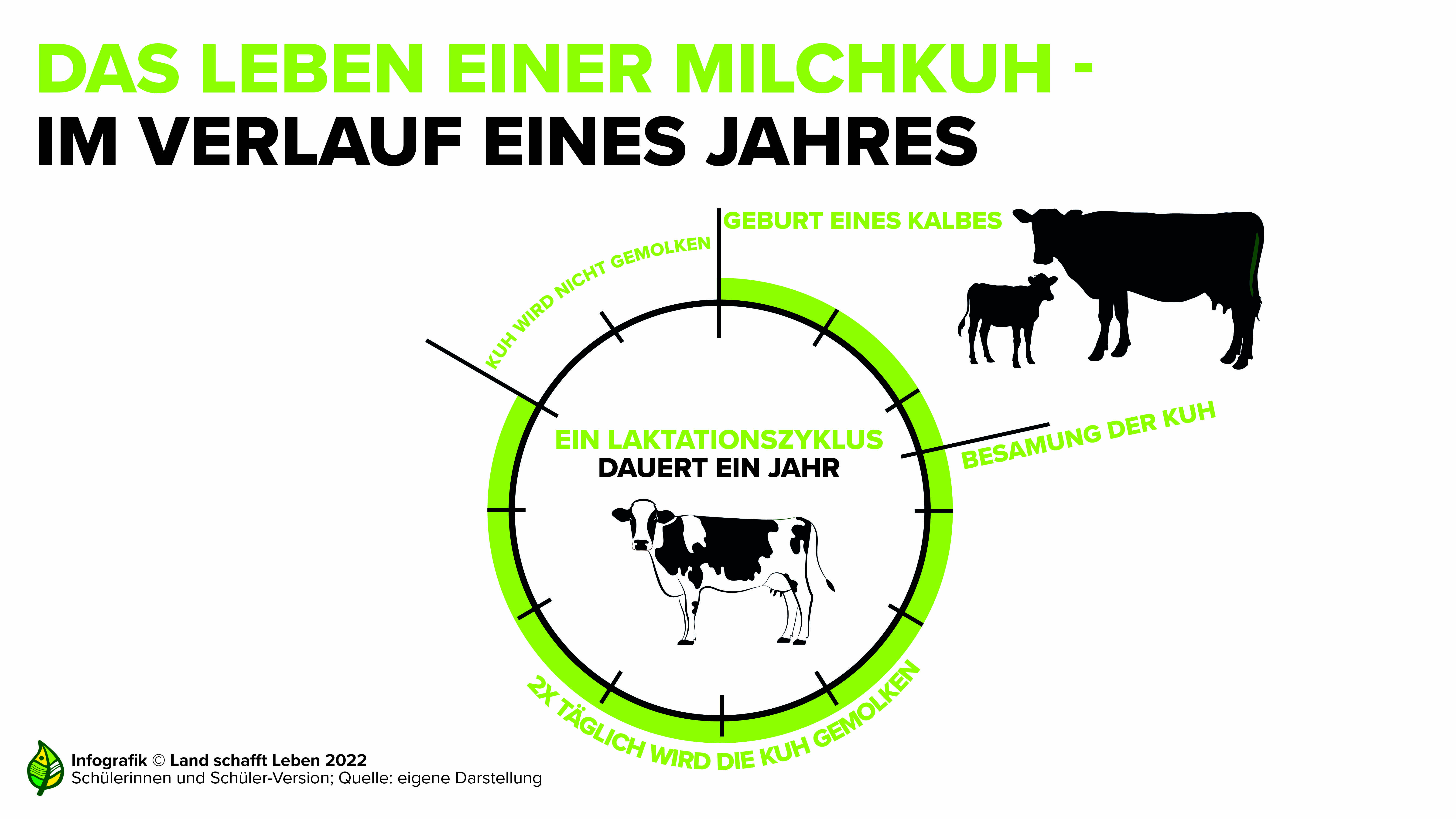 Milch Elementar und Primarstufe